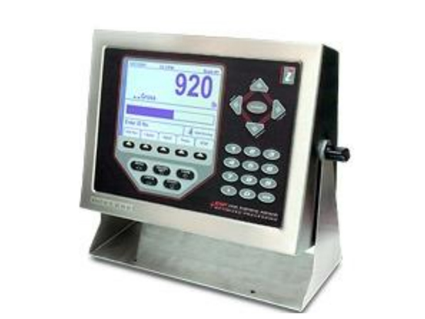 稱重儀(yí)表920i
